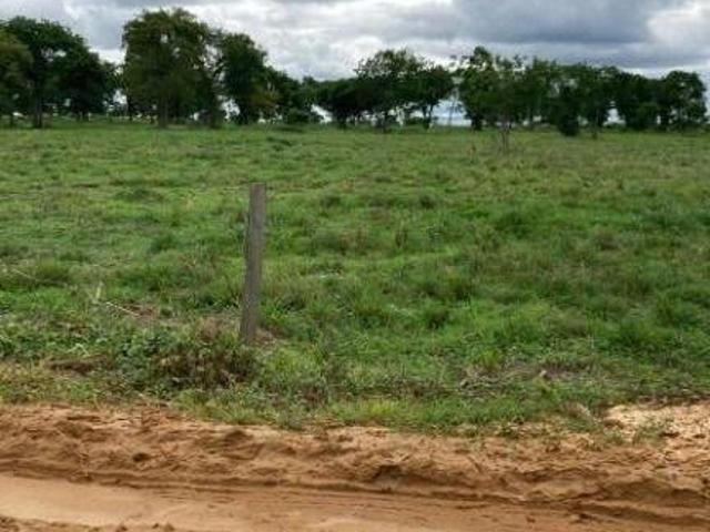 Sítio e chácara venda em Região Geográfica Imediata de São Francisco, São Francisco