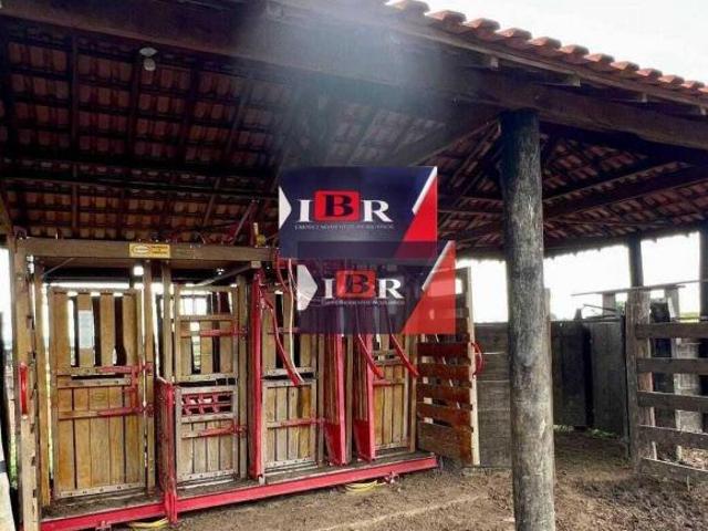 Sítio e chácara venda em Região Geográfica Imediata de Campo Grande, São Gabriel do Oeste
