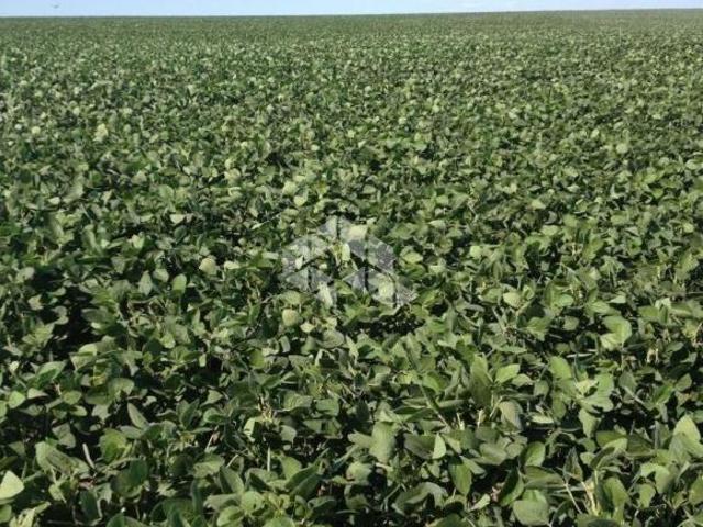Sítio e chácara venda em Região Geográfica Imediata de São Gabriel - Caçapava do Sul, São Gabriel