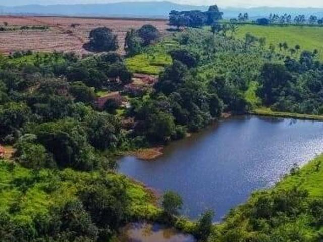 Sítio e chácara venda em São João da Boa Vista