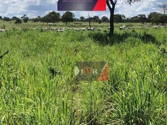 Sítio e chácara venda em Região Geográfica Imediata de Pirapora, Santa Fé de Minas