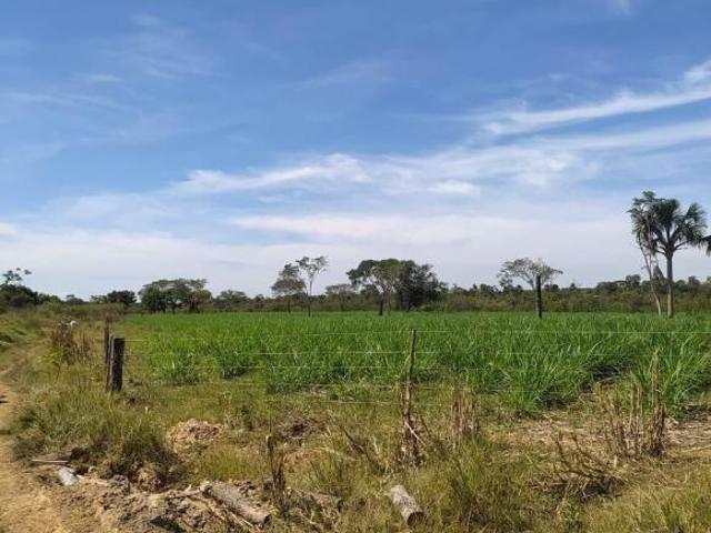 Sítio e chácara venda em Região Geográfica Imediata de Pirapora, Santa Fé de Minas