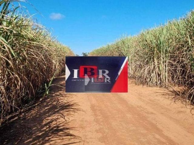Sítio e chácara venda em Região Imediata de Ribeirão Preto, Região Metropolitana de Ribeirão Preto