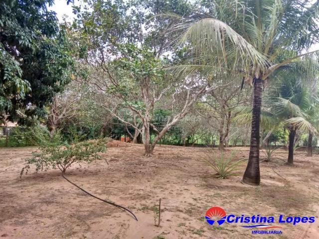 Fazenda venda em Teresina, Região Geográfica Intermediária de Teresina