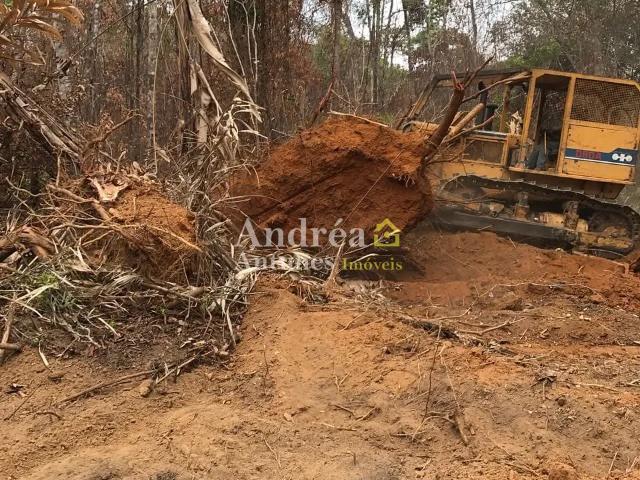 Fazenda venda em Santa Terezinha, Região Geográfica Intermediária de Barra do Garças