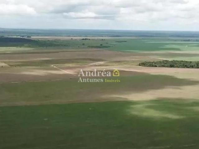 Sítio e chácara venda em Região Geográfica Imediata de Confresa - Vila Rica, Santa Terezinha