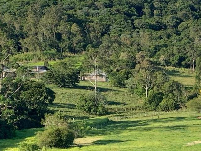 Sítio e chácara venda em Região Geográfica Imediata de Porto Alegre, Região Metropolitana de Porto Alegre