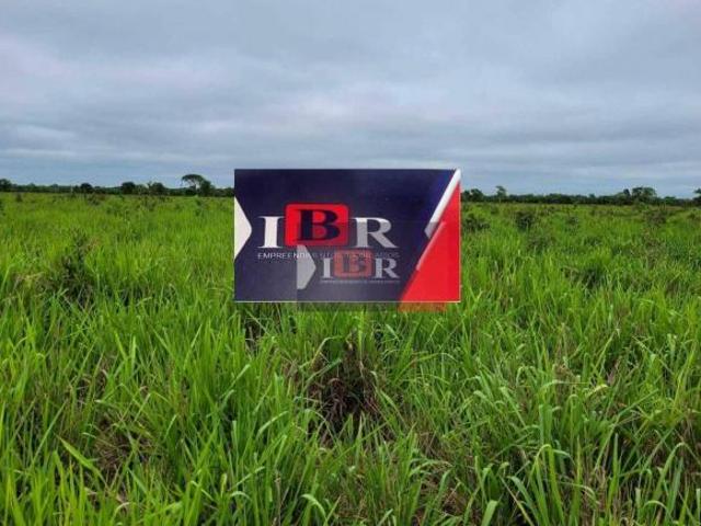 Sítio e chácara venda em Santo Antônio de Leverger, Região Geográfica Intermediária de Cuiabá