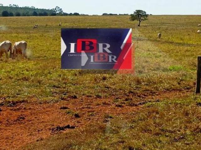Sítio e chácara venda em Região Geográfica Imediata de Três Lagoas, Selviria