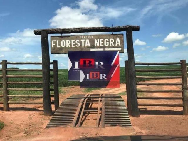 Sítio e chácara venda em Sete Quedas, Mato Grosso do Sul