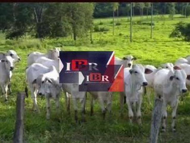 Sítio e chácara venda em Região Geográfica Imediata de Campo Grande, Sidrolândia