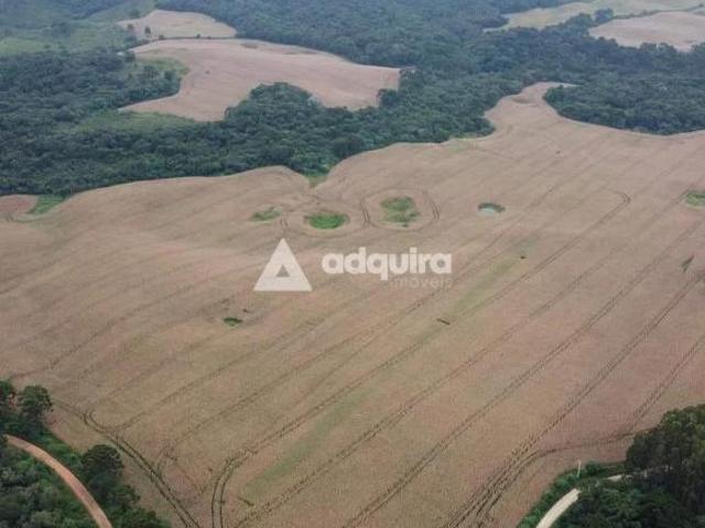 Sítio e chácara venda em Região Geográfica Imediata de Ponta Grossa, Castro