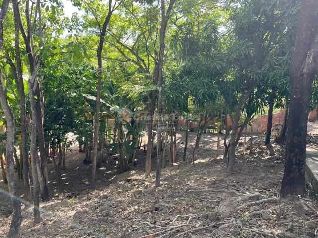 Fazenda venda em Teresina, Região Geográfica Intermediária de Teresina