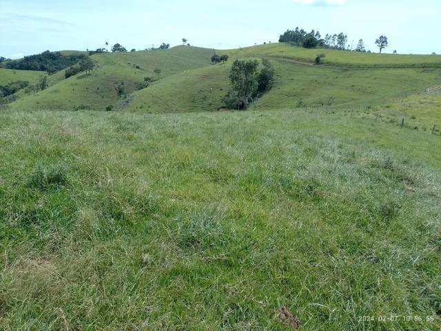 Fazenda venda em Socorro