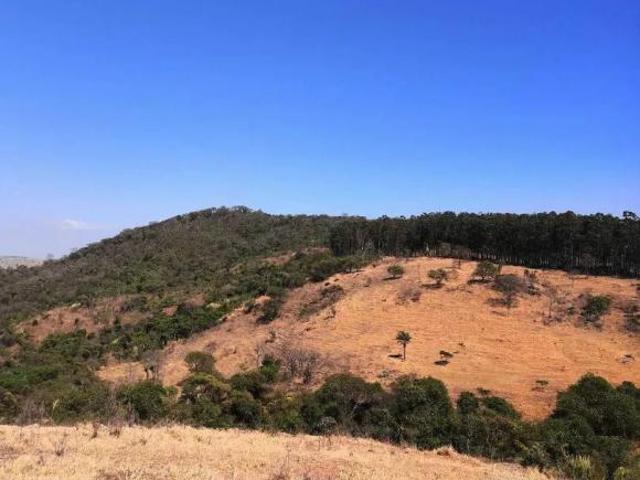 Sítio e chácara venda em Região Imediata de São José do Rio Pardo-Mococa, São José do Rio Pardo