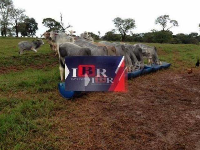 Sítio e chácara venda em Tacuru, Mato Grosso do Sul