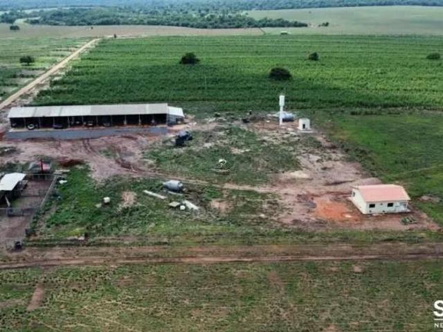 Sítio e chácara venda em Centro, Tangará da Serra