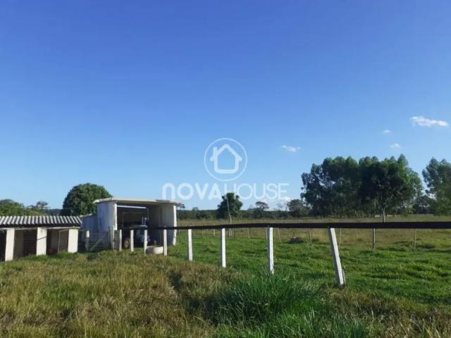 Fazenda venda em Região Geográfica Imediata de Campo Grande, Terenos