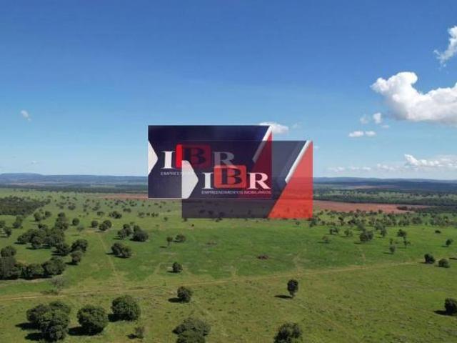 Sítio e chácara venda em Região Geográfica Imediata de Campo Grande, Terenos