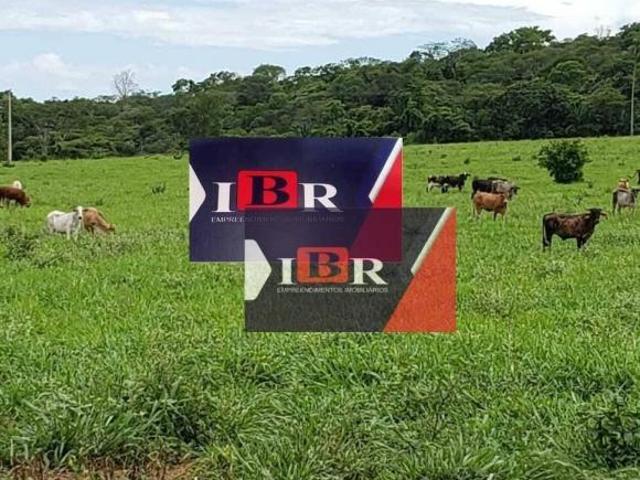 Sítio e chácara venda em Região Geográfica Imediata de Campo Grande, Terenos