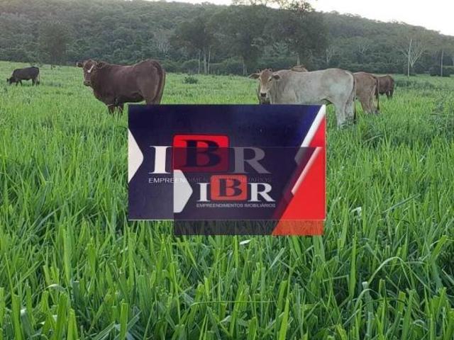 Sítio e chácara venda em Região Geográfica Imediata de Campo Grande, Terenos