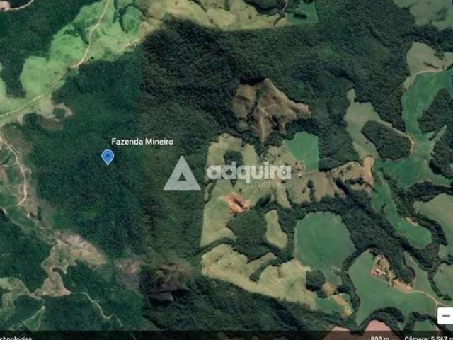 Sítio e chácara venda em Região Geográfica Imediata de Telêmaco Borba, Tibagi
