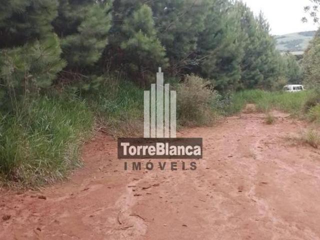 Sítio e chácara venda em Região Geográfica Imediata de Telêmaco Borba, Tibagi