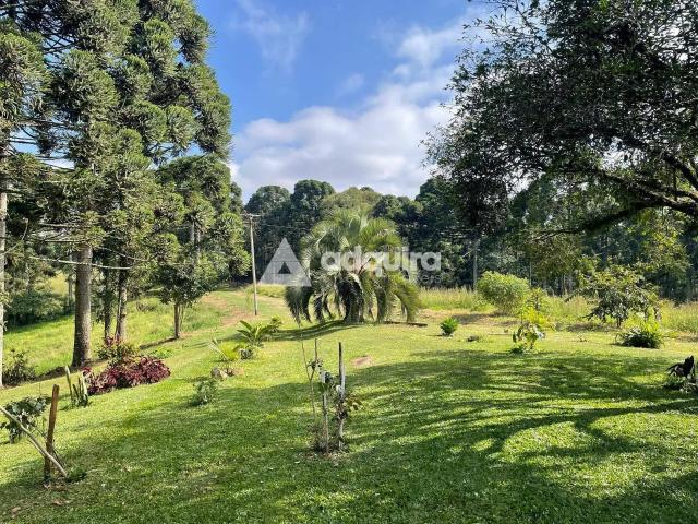 Fazenda venda em Castro, Região Geográfica Intermediária de Ponta Grossa