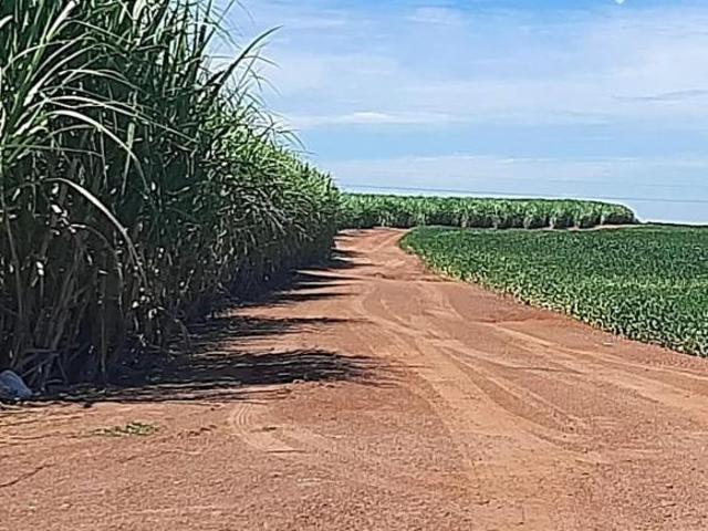 Sítio e chácara venda em Região Geográfica Imediata de Uberaba, Uberaba