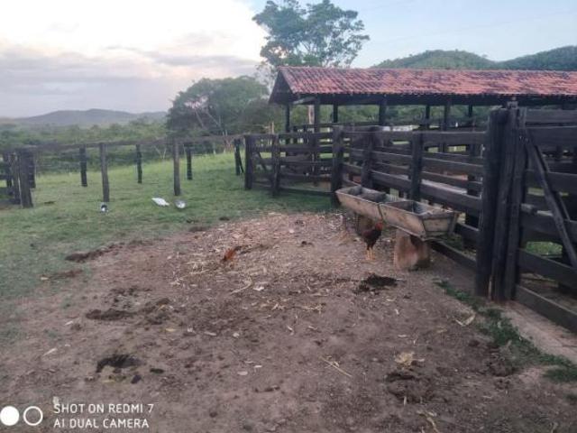 Sítio e chácara venda em Unaí