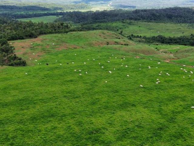 Sítio e chácara venda em Região Geográfica Imediata de Peixoto de Azevedo - Guarantã do Norte, Peixoto de Azevedo