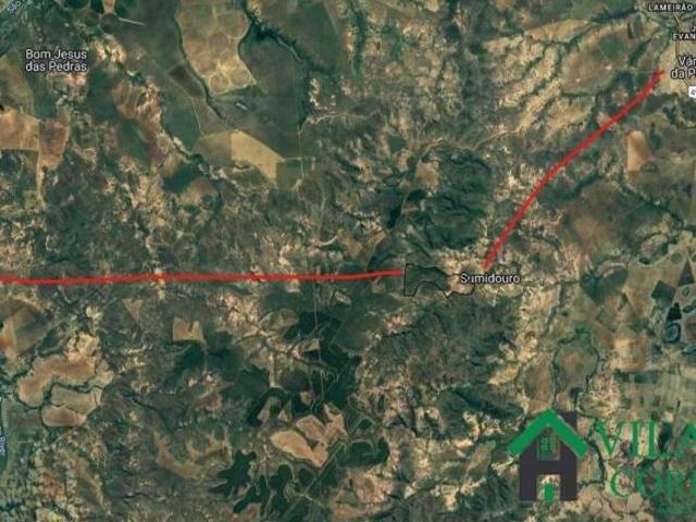 Sítio e chácara venda em Região Geográfica Imediata de Pirapora, Várzea da Palma
