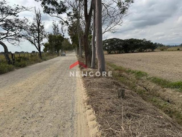 Sítio e chácara venda em Região Imediata de Taubaté-Pindamonhangaba, Região Metropolitana do Vale do Paraíba e Litoral Norte