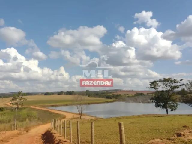Fazenda venda em Região Geográfica Imediata de Anápolis, Vianópolis