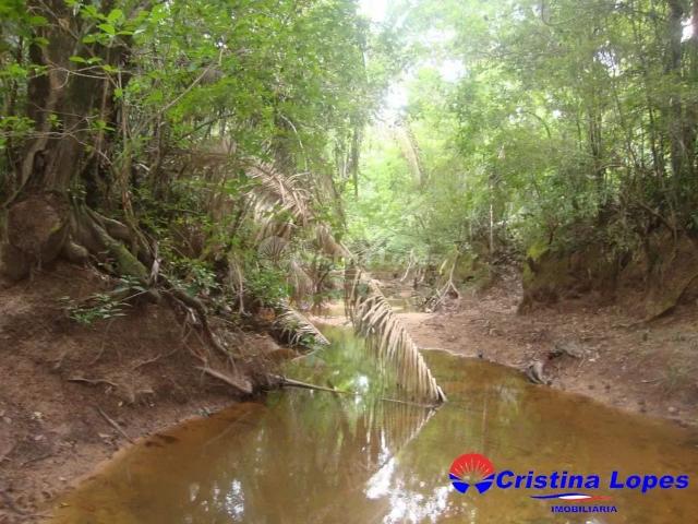 Fazenda venda em Demerval Lobão, Região Geográfica Intermediária de Teresina