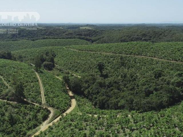 Sítio e chácara venda em Região Imediata de Registro, Jacupiranga