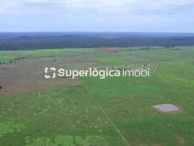 Sítio e chácara venda em Região Geográfica Imediata de Peixoto de Azevedo - Guarantã do Norte, Peixoto de Azevedo