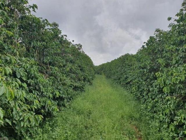 Sítio e chácara venda em São Gonçalo do Sapucaí, Região Geográfica Intermediária de Varginha