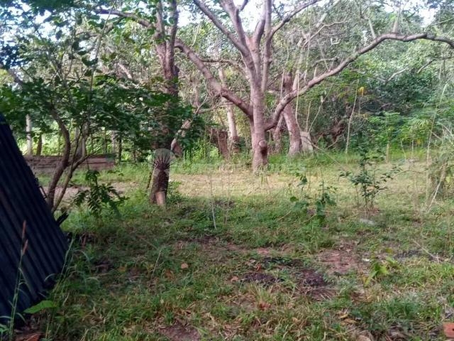 Fazenda venda em Teresina, Região Geográfica Intermediária de Teresina