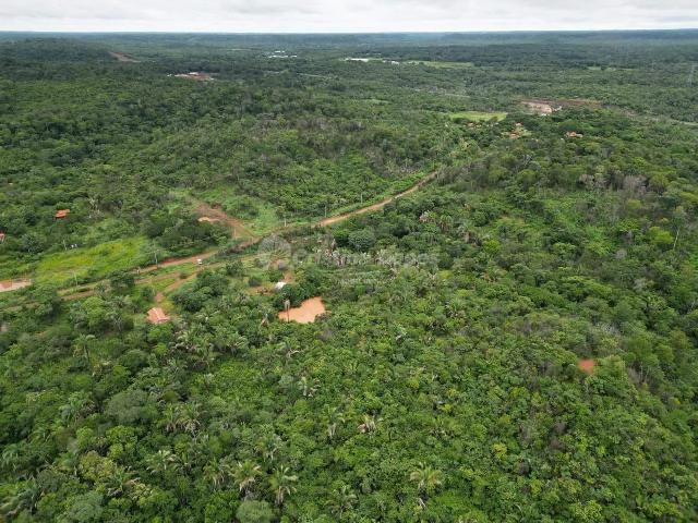 Fazenda venda em Teresina, Região Geográfica Intermediária de Teresina