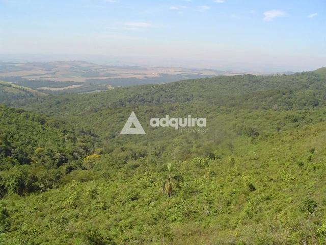 Fazenda venda em Tibagi, Região Geográfica Intermediária de Ponta Grossa