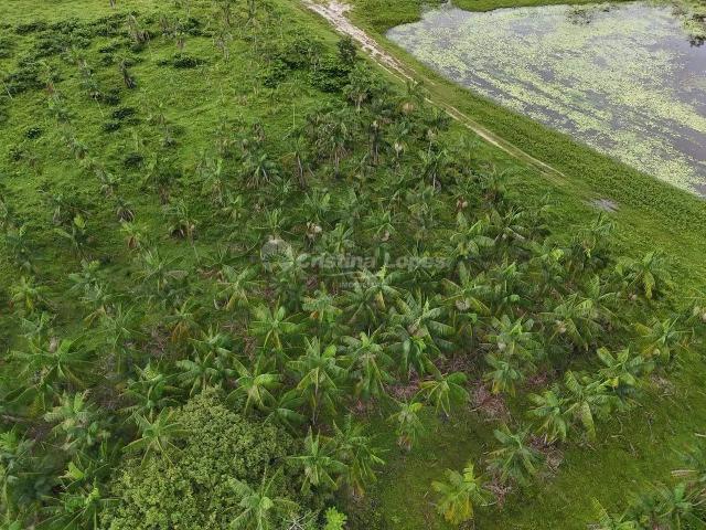 Fazenda venda em Turiaçu, Região Geográfica Intermediária de São Luís