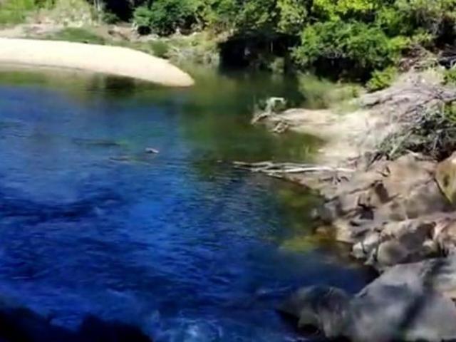 Sítio e chácara venda em Região Geográfica Imediata de Uruaçu - Niquelândia, Niquelândia