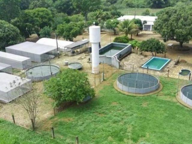 Sítio e chácara venda em Região Geográfica Imediata de Luziânia, Região Integrada de Desenvolvimento do Distrito Federal e Entorno