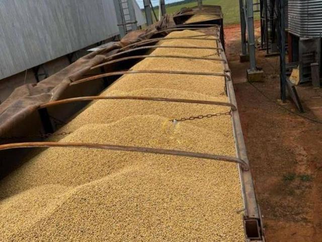 Sítio e chácara venda em Região Geográfica Imediata de Confresa - Vila Rica, São José do Xingu