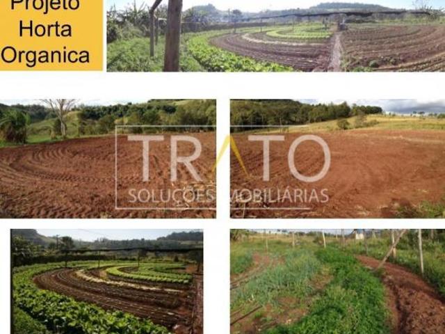 Sítio e chácara venda em Região Geográfica Imediata de Santo Antônio da Platina, Ribeirão Claro