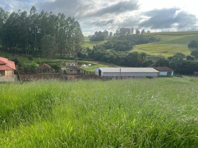 Sítio e chácara venda em Região Geográfica Imediata de Poços de Caldas, Santa Rita de Caldas
