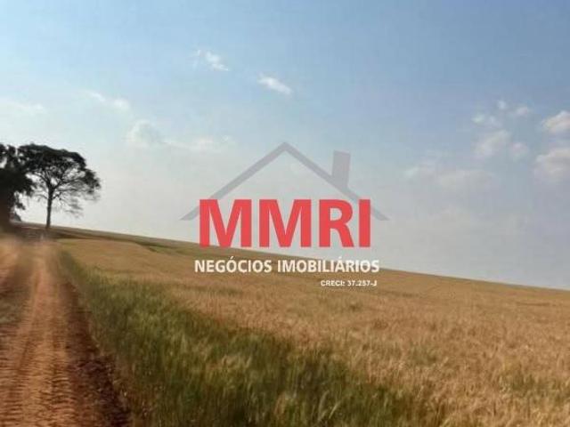 Sítio e chácara venda em Região Imediata de Avaré, Paranapanema