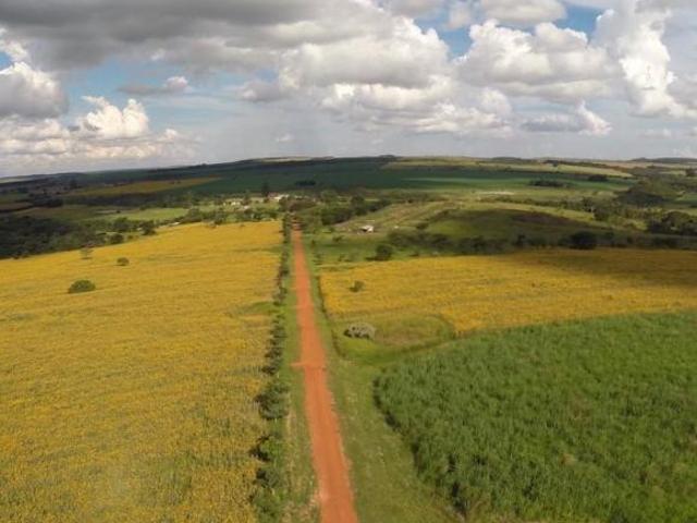 Sítio e chácara venda em Região Geográfica Imediata do Distrito Federal, Região Integrada de Desenvolvimento do Distrito Federal e Entorno