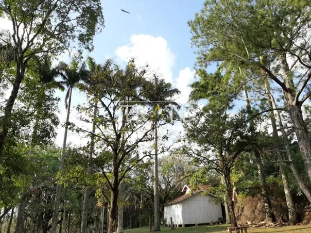 Fazenda venda em Região Geográfica Imediata de Santo Antônio da Platina, Ribeirão Claro